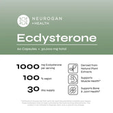 Ecdysterone Supplement – Plant-Based Muscle & Performance Support (30 g)